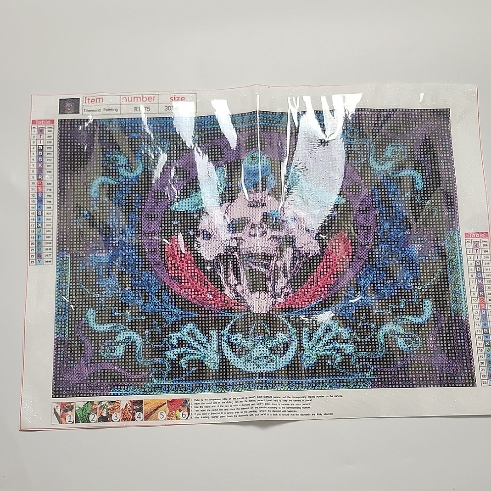 BN 2/$20 Skulls Diamond Art Kit 30 X 40cm